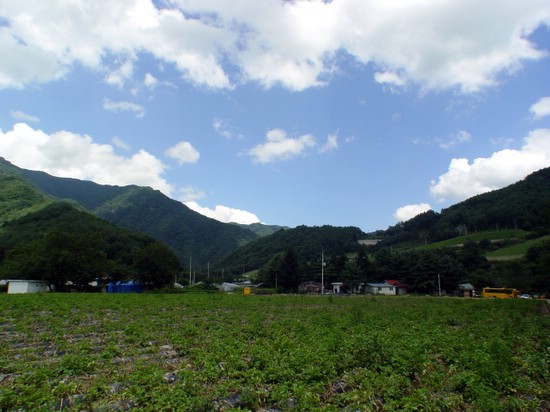 이곳이 살둔입니다. 산들틈에 꽤 넓직한 밭이 자리잡았습니다. 